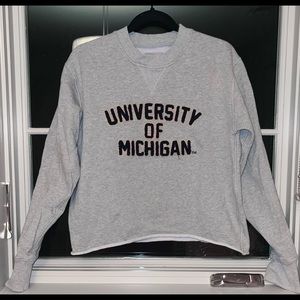 University of Michigan Crewneck